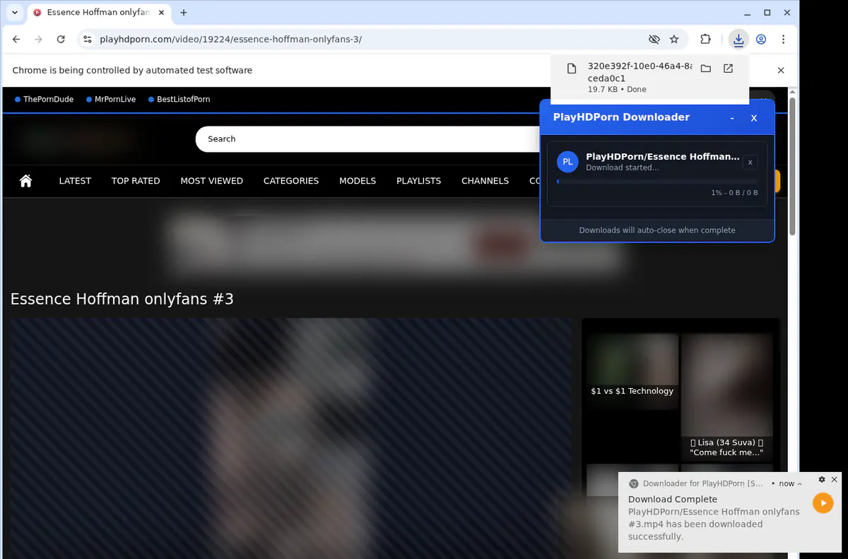Playhdporn Video Downloader screenshot 2