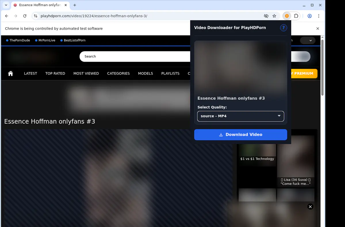 Playhdporn Video Downloader screenshot 3